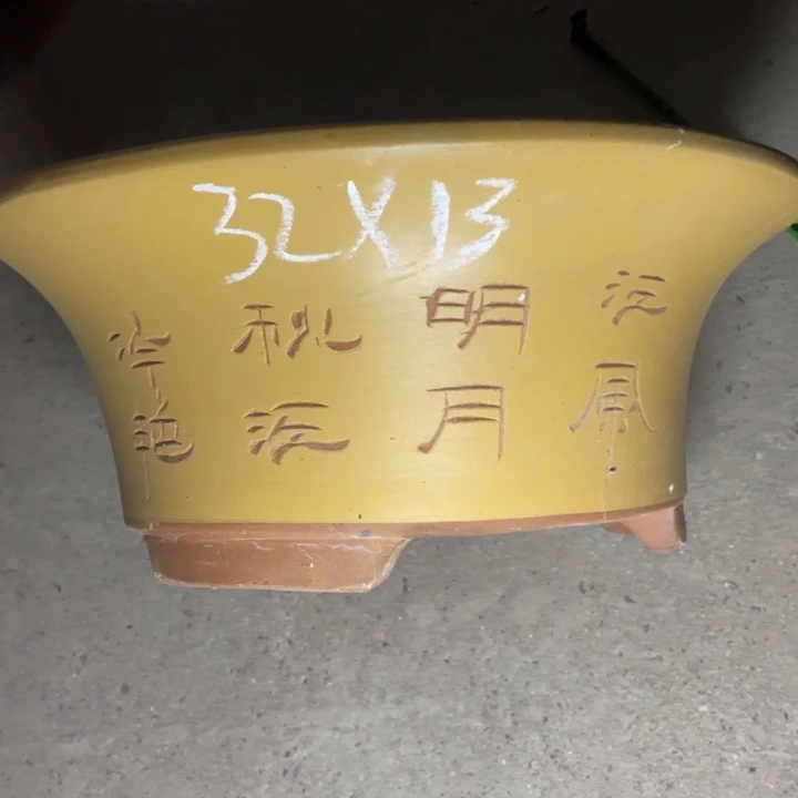 周深周深周深周深