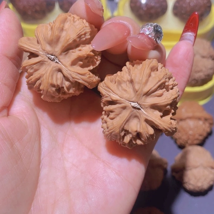 核桃手串/手链冒**。白狮子全品40尺
