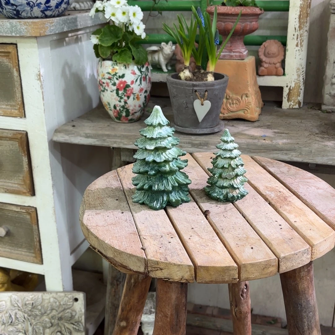 许纯的花房 树一套