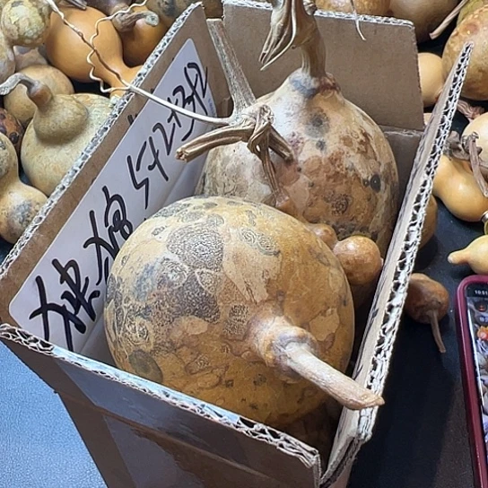 独*葫芦葫芦葫芦葫芦