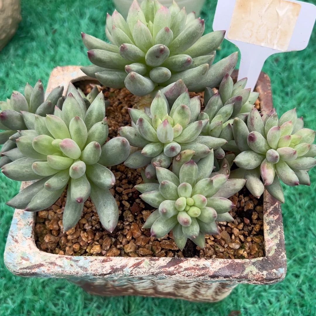 ，，，，，，，，，，，，，，，，，，，，，，