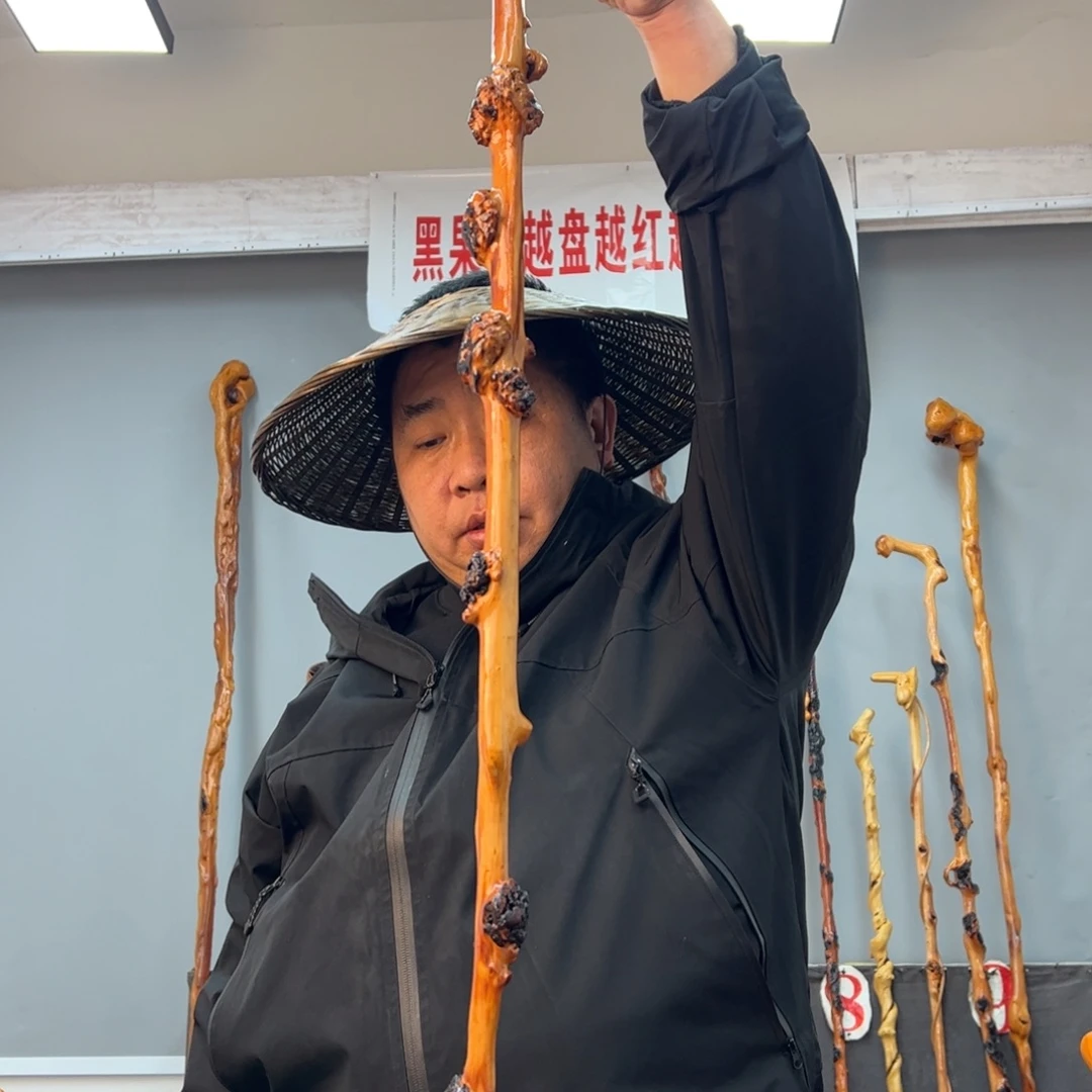 黑果木其他黑果木972