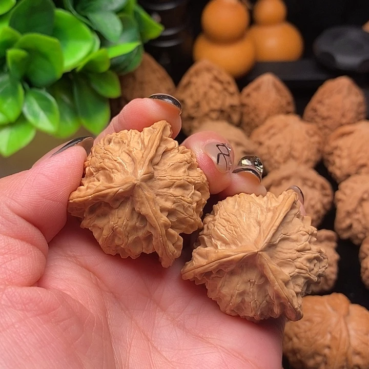 核桃盘山三棱37嗑尖