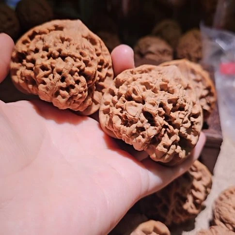 吊坠文玩核桃53龙鼎管帽
