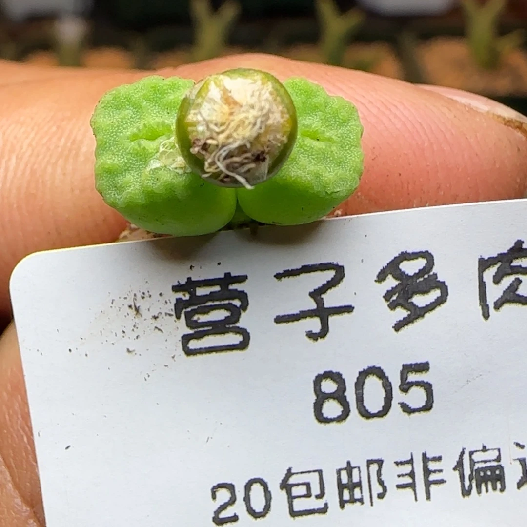 1410.654。    福利。