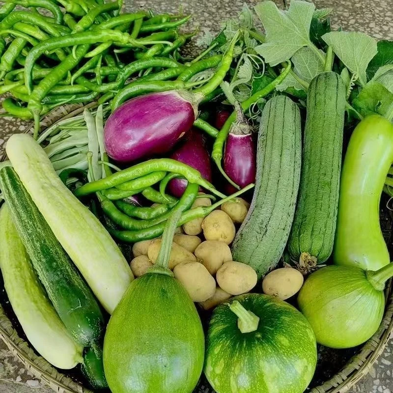 农家生态蔬菜包新鲜茄子豆角土豆茄子辣椒南瓜西红柿黄瓜玉米3斤