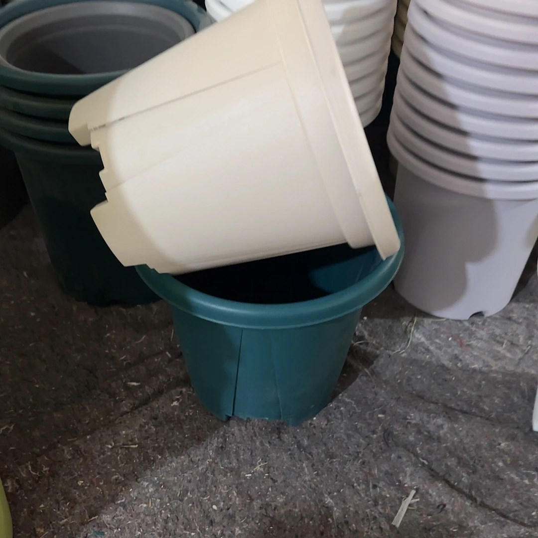 微瑕青山7号5个无托，军绿