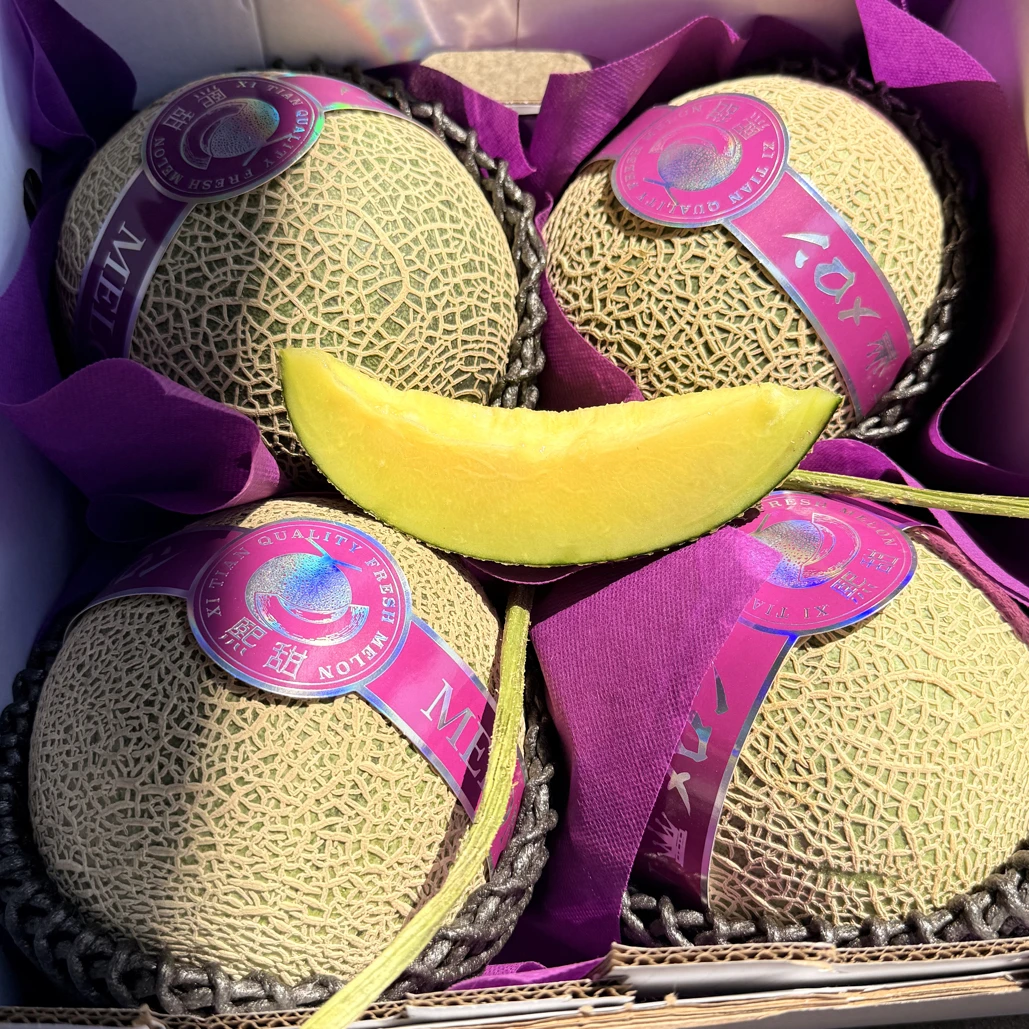 【果真不错】熙甜网纹瓜甜瓜 软糯香甜，一藤一瓜1个2.5斤