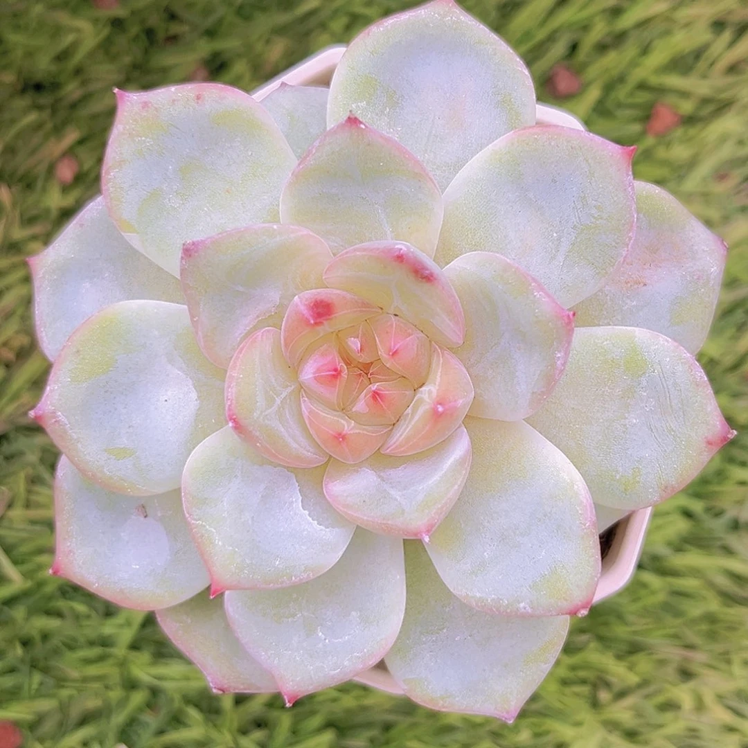 27号88788888888888888888