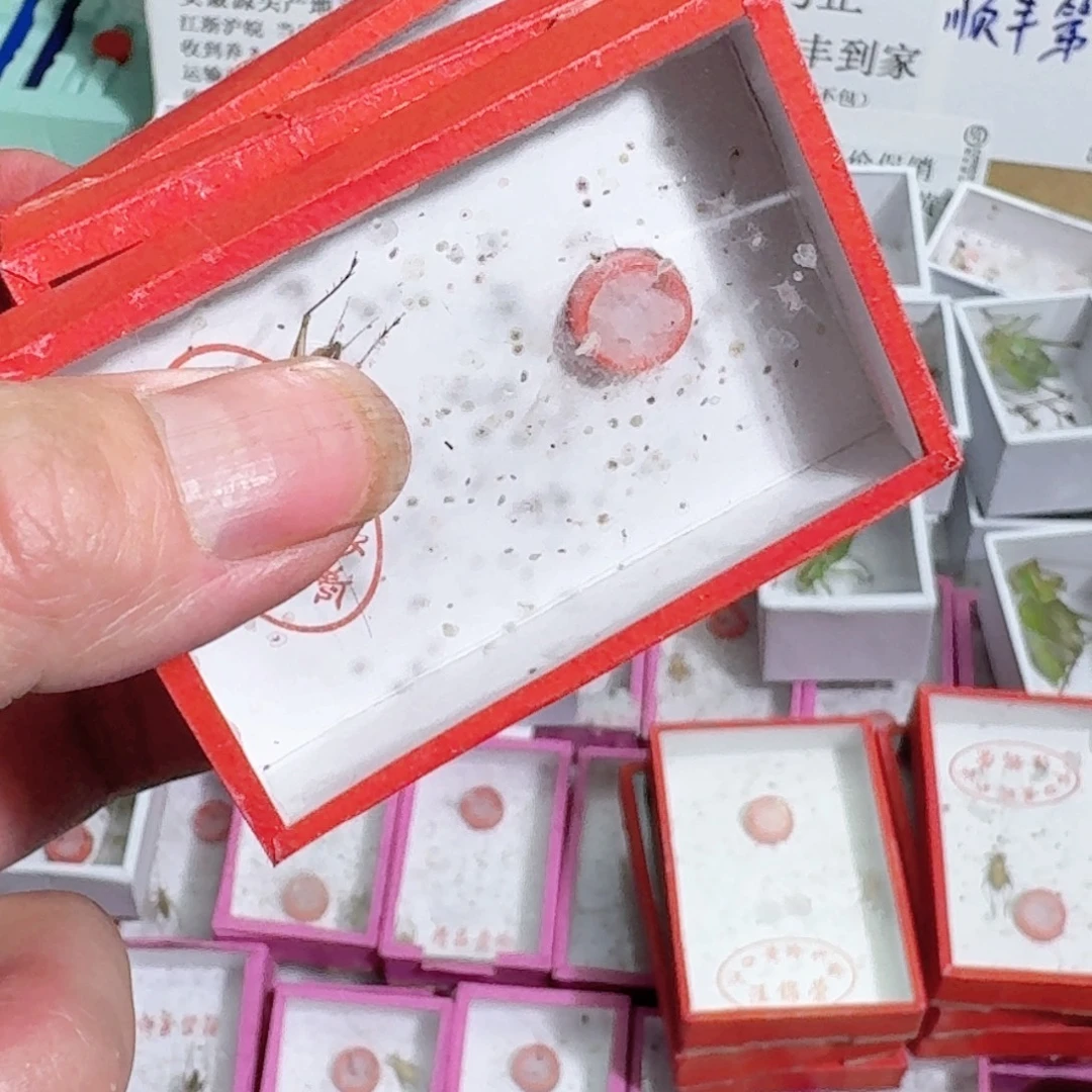 耀***华蟋蟀蝈蝈你的电话怎么一直关机