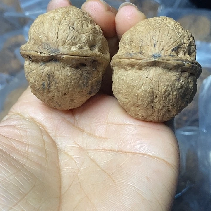 把件文玩核桃云南铁核桃基地23