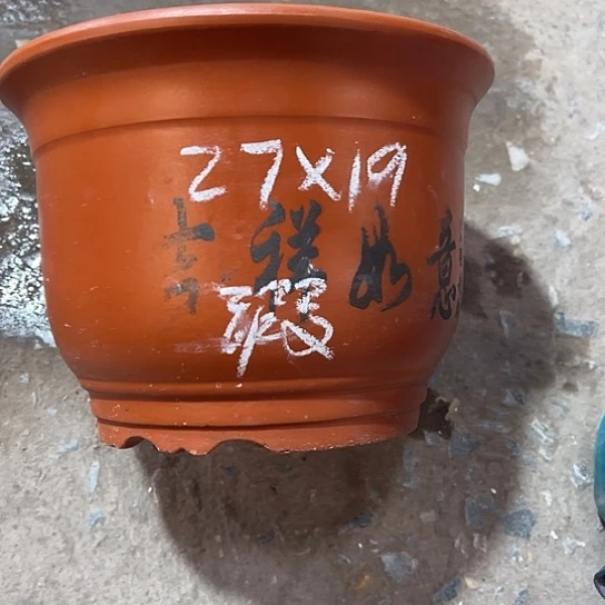 紫砂工艺厂……紫砂工艺厂……