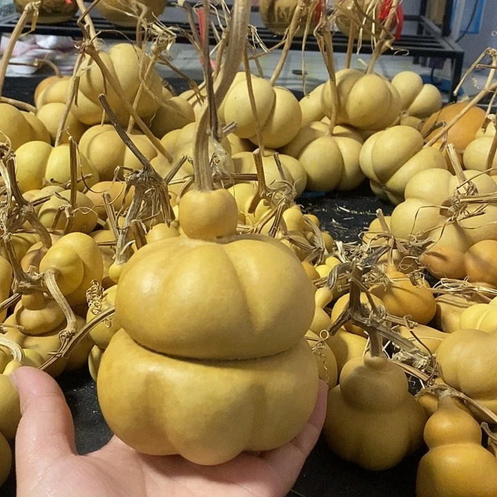 钢*葫芦的颜色很好看