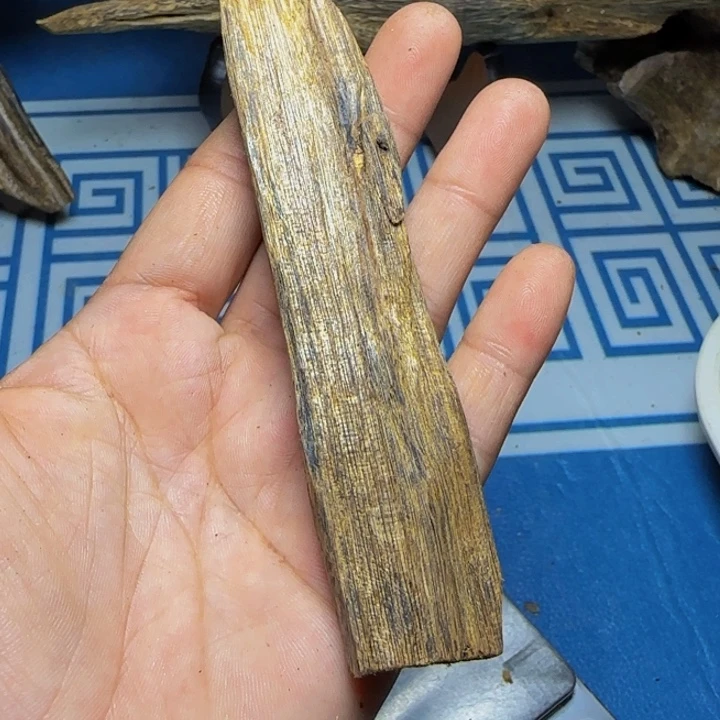 木质海南白奇树心油14克
