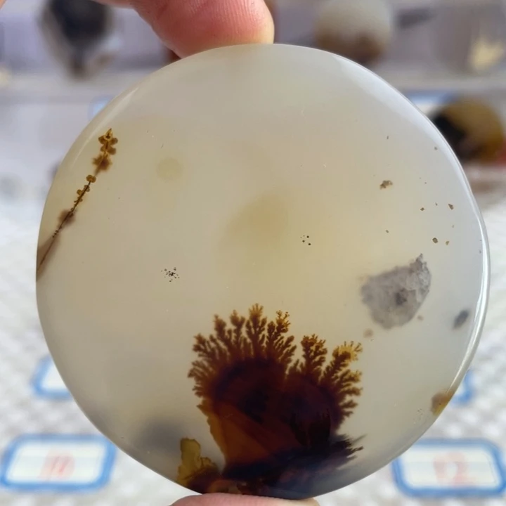 玛瑙/玉髓颈饰合金