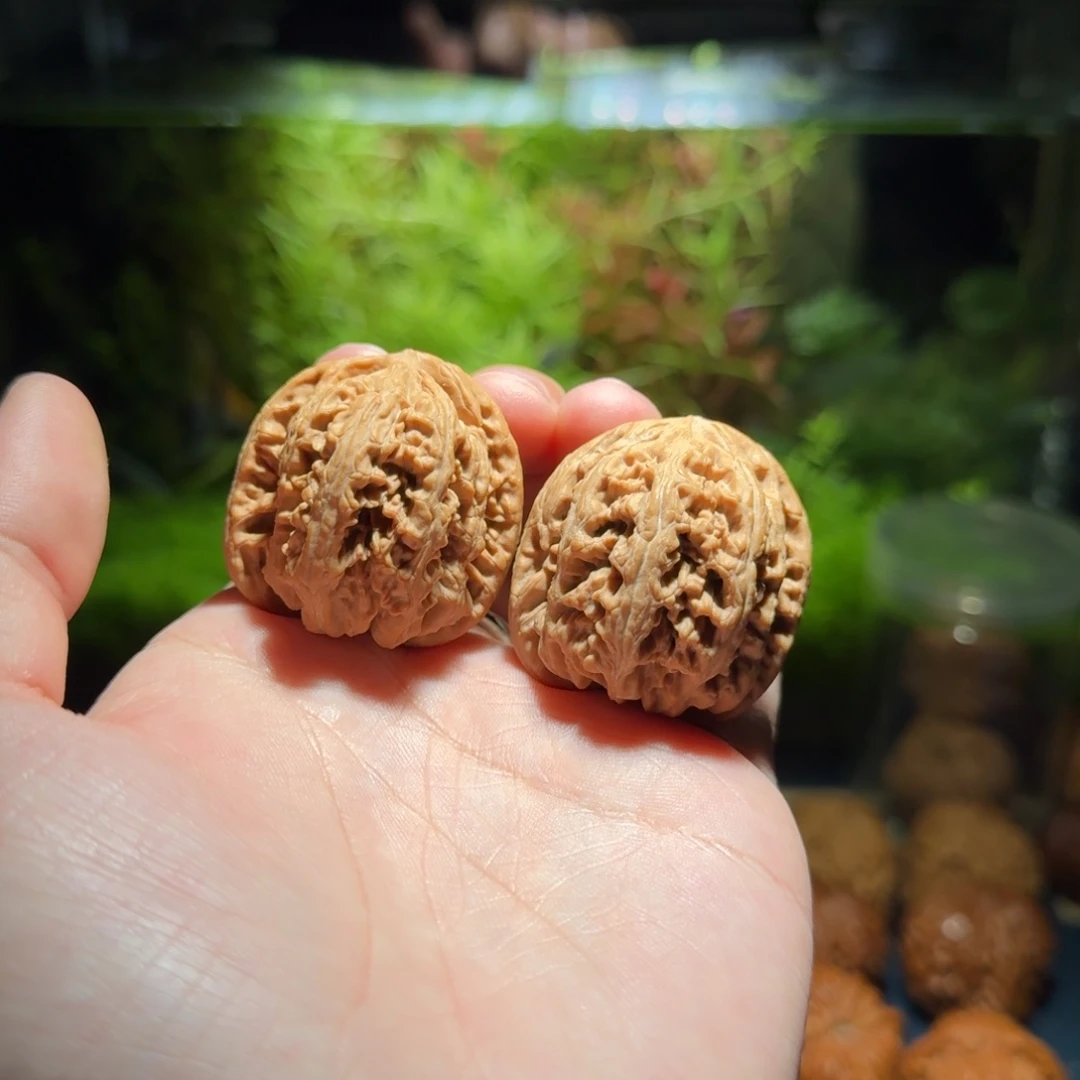 845号37平谷粗筋文玩核桃