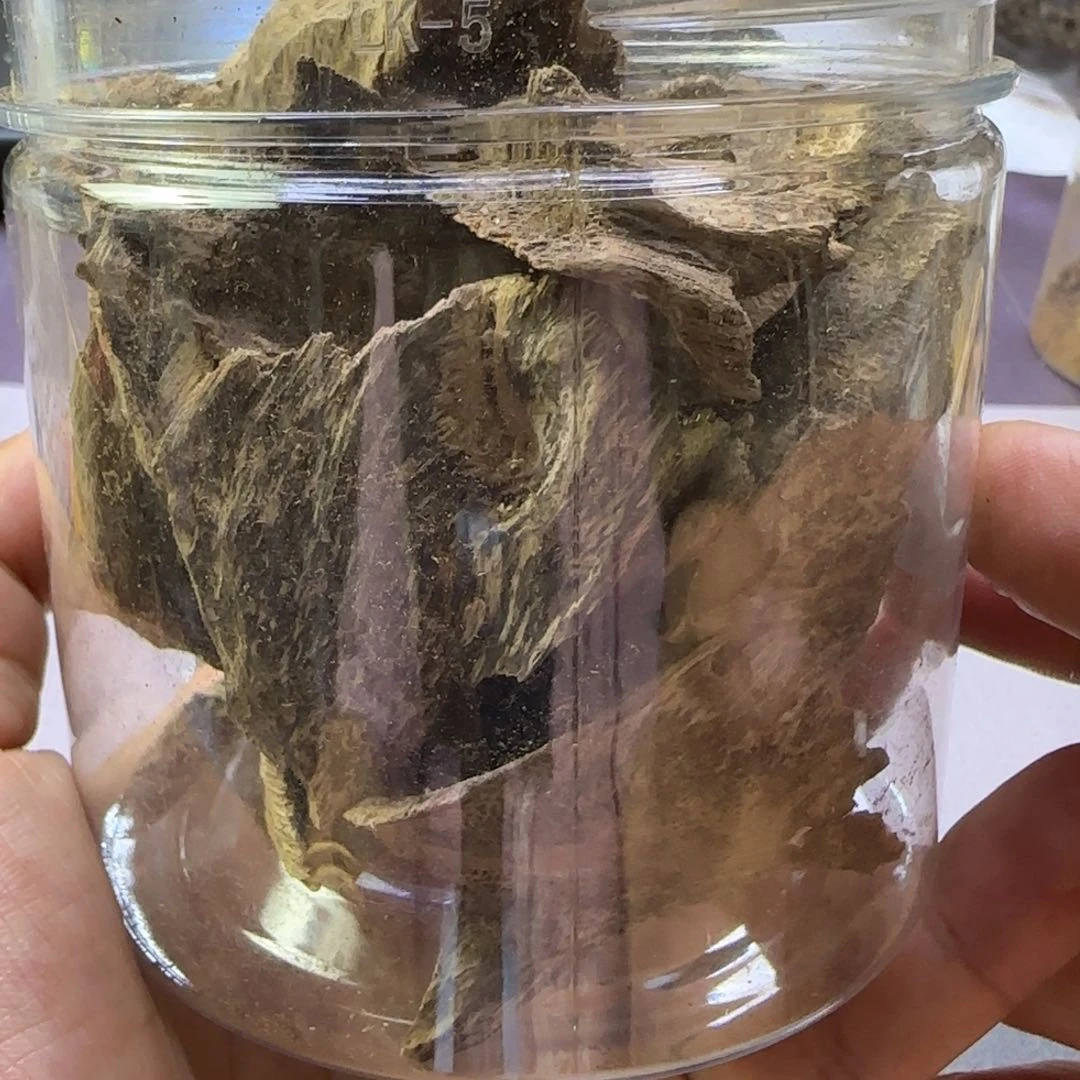 沉香碎屑沉香越南顺化爆油50克鸡母虫