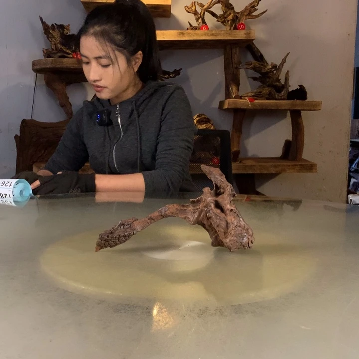 清***哥天然云南紫柚木会黄水