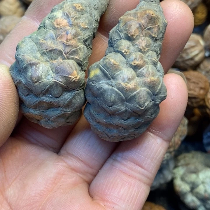 吊坠桃核娜姐真的31