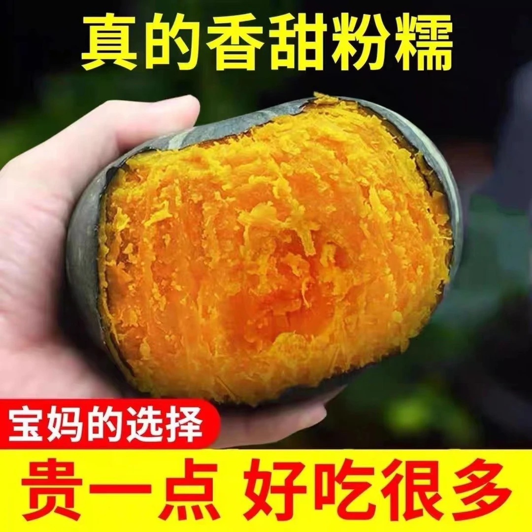 绿贝贝南瓜 嘎嘎面乎340-440g南瓜同城送