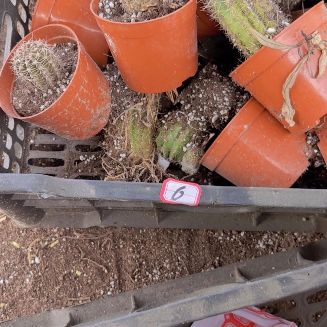 华****饰6混品瑕痴无售后