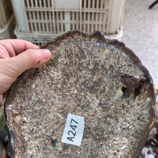 瑕疵瑕疵瑕疵瑕疵