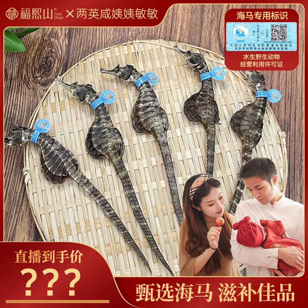FUXISHAW/福熙山精选海马干货 煲汤泡酒可用