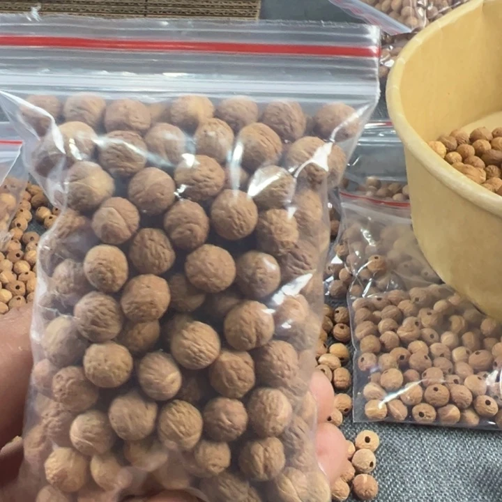 @***槃吊坠凤眼菩提文玩酸枣核