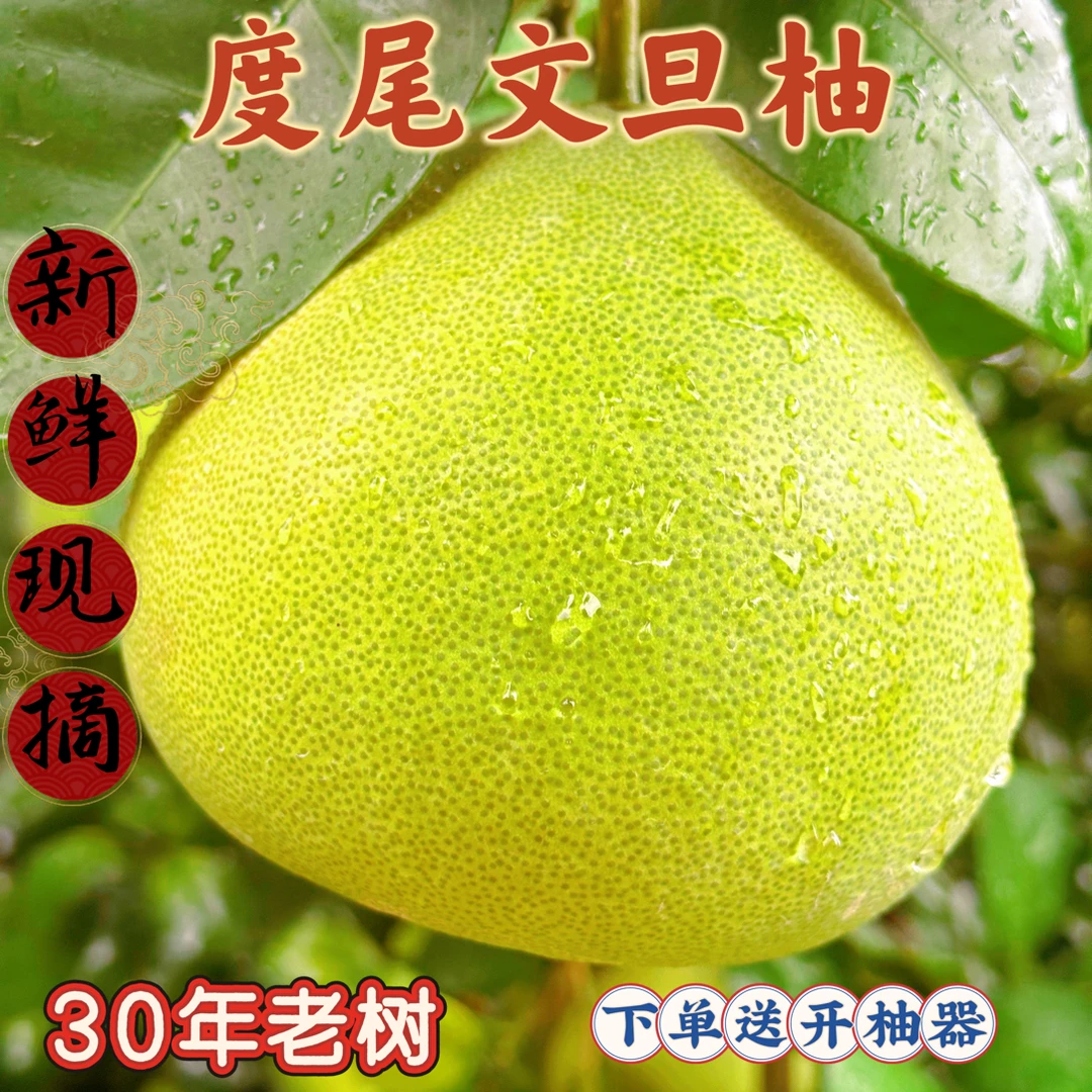 正宗福建莆田度尾文旦柚红心柚子新鲜当季现摘孕妇应季时令水果