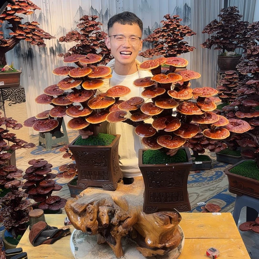 无花朵88888888888