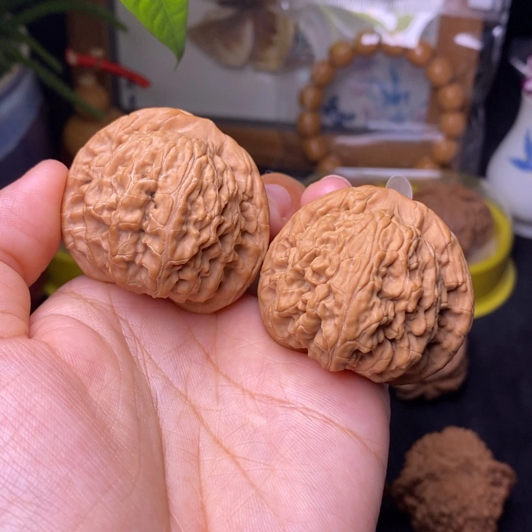 文玩核桃把件43望月狮子头