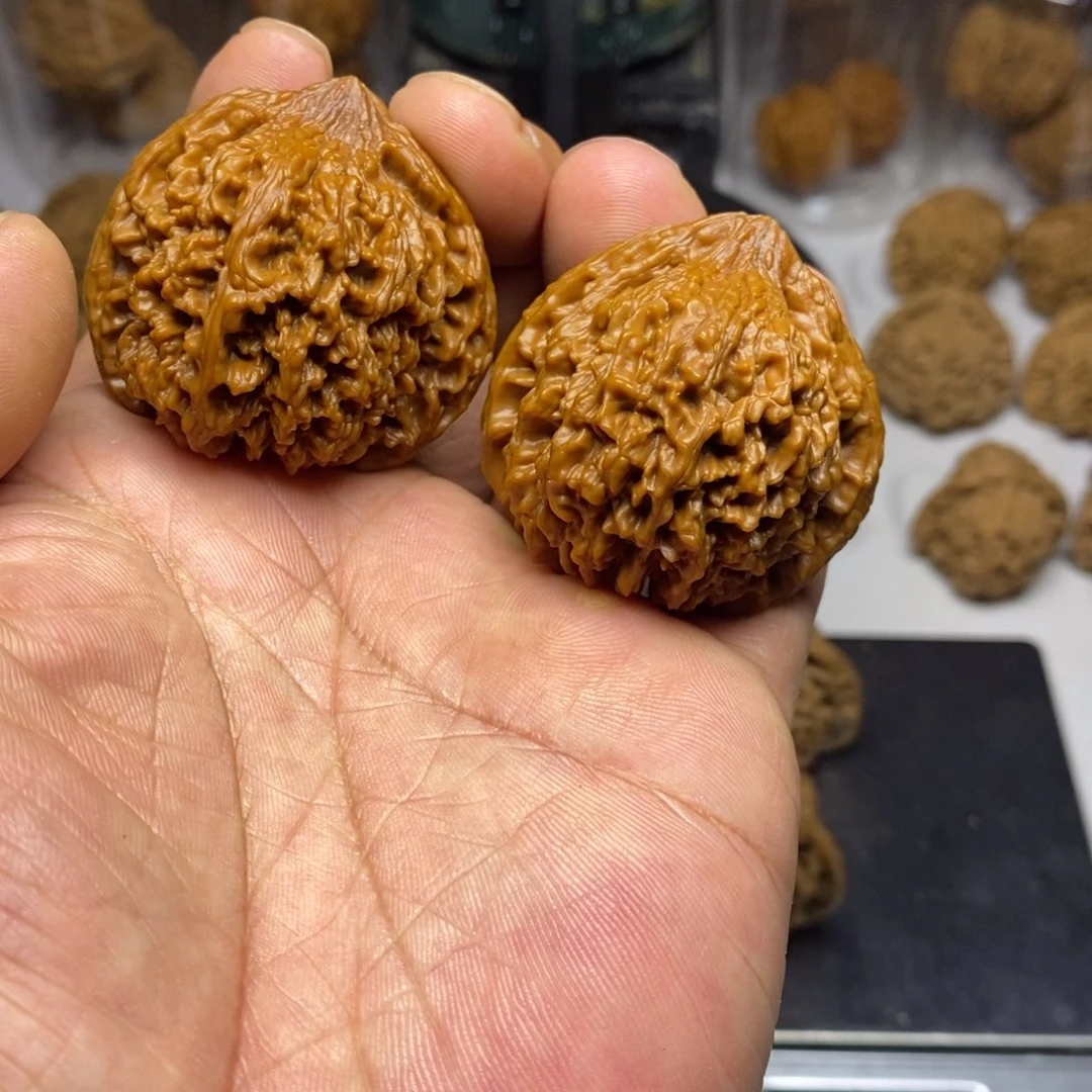 大叶紫檀（黑酸枝木类）