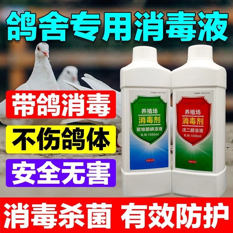 鸽舍养殖场专用消毒液家禽消毒剂杀灭病毒防疫消毒水鸽子专用消毒