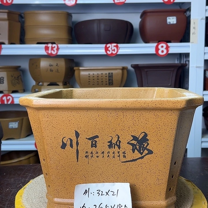 花盆紫砂你在一起