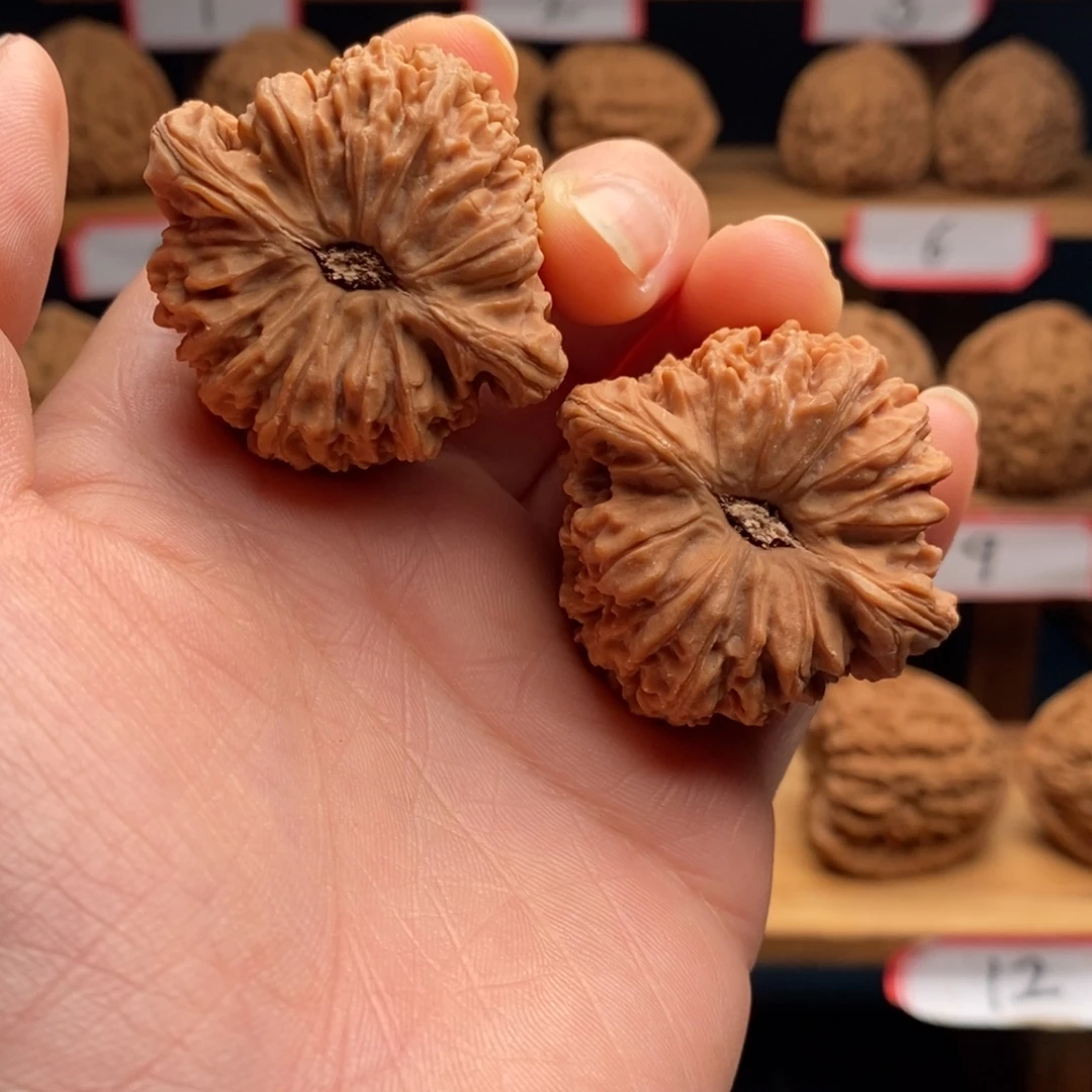 无***¢南将石文玩核桃凹底40.5