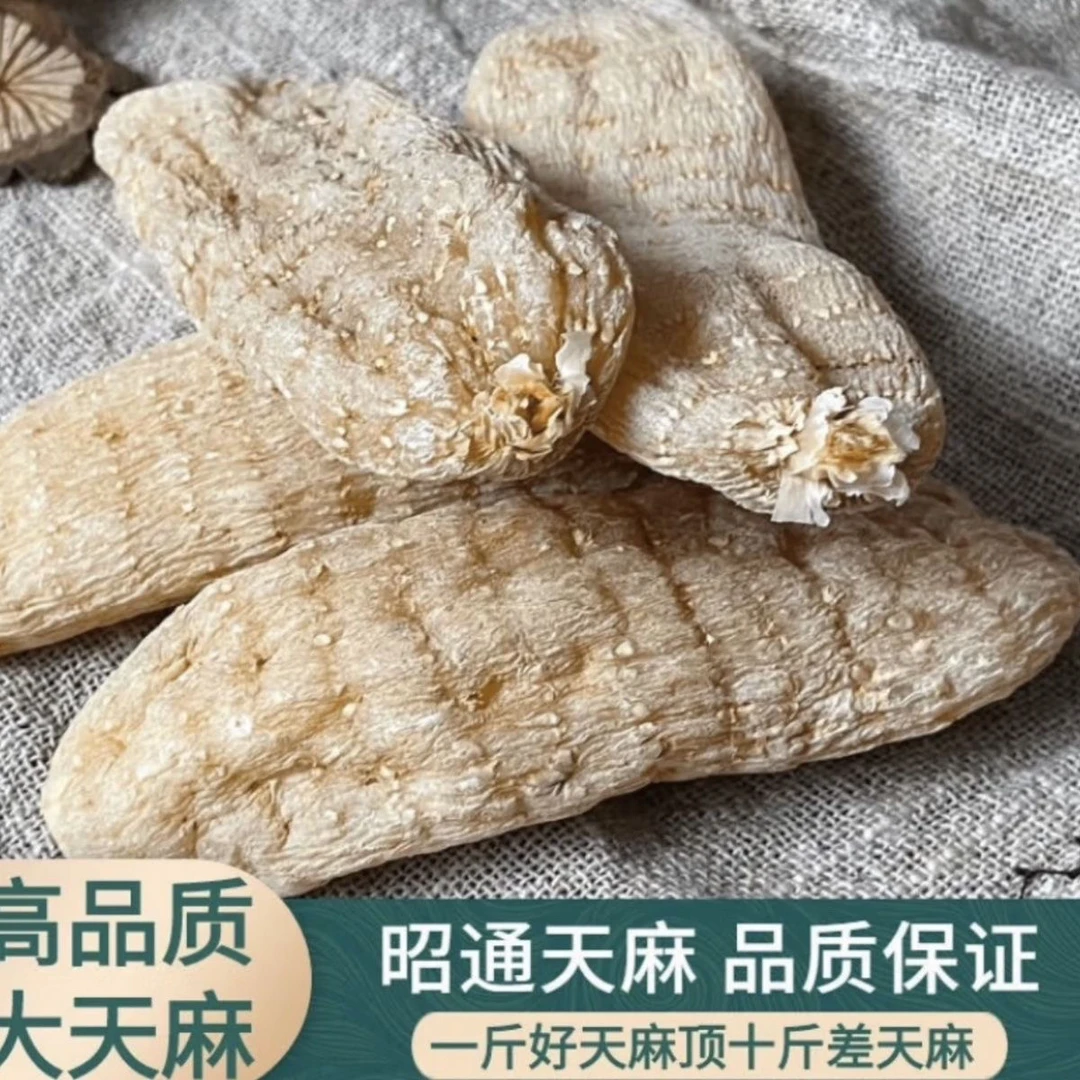 天麻新鲜煲汤云南正宗昭通现挖草坝野生纯天然包邮现发特级正品