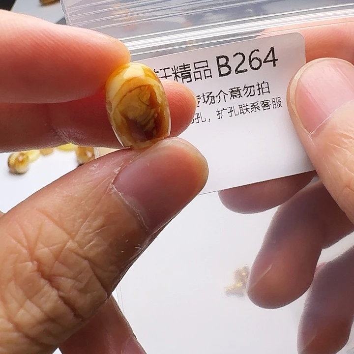 裸石琥珀未镶嵌琥珀