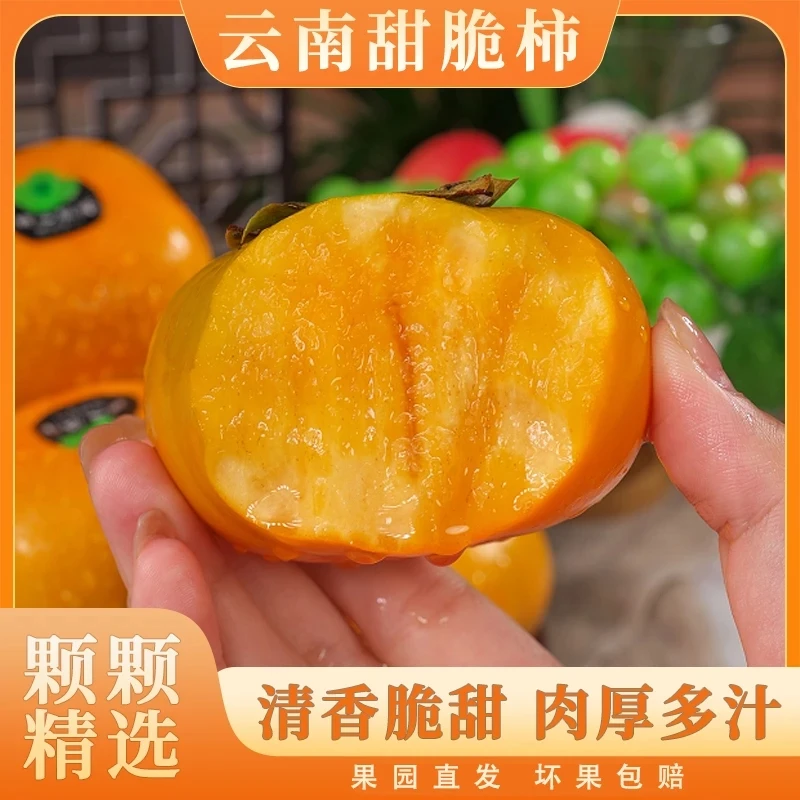 【顺丰速运】云南甜脆柿新鲜现摘直发冰糖心次郎脆柿云南土豆