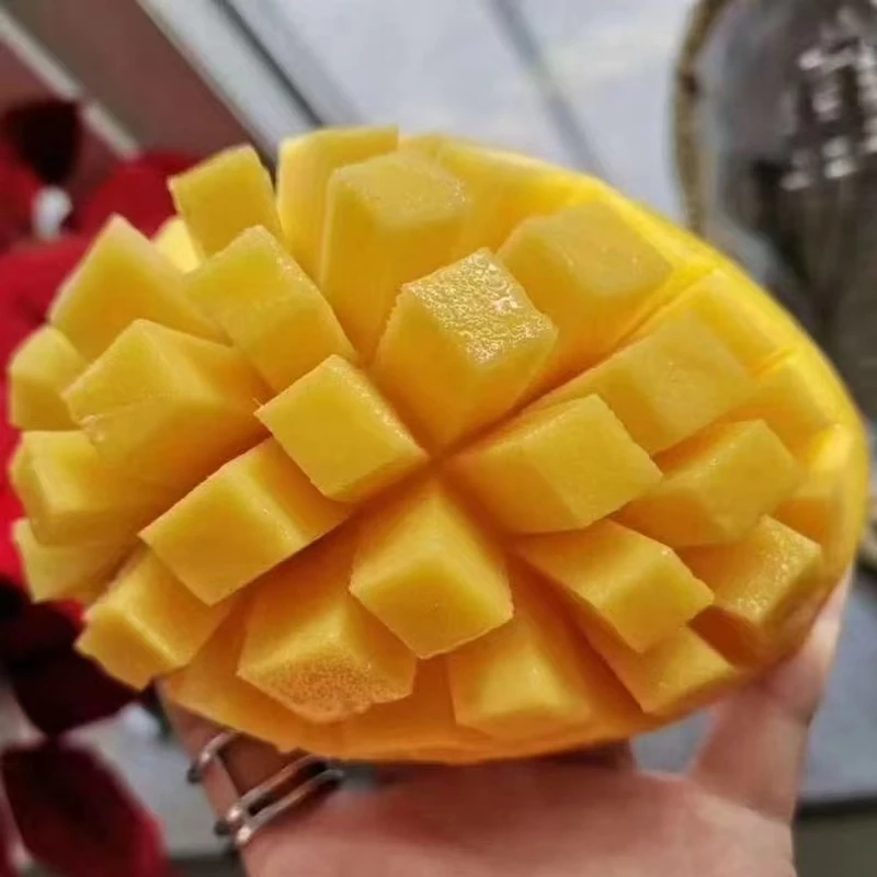 【中通包邮】正宗海南三亚红玉芒新鲜采摘现摘现发