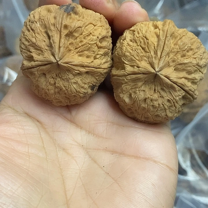 把件文玩核桃云南铁核桃基地44