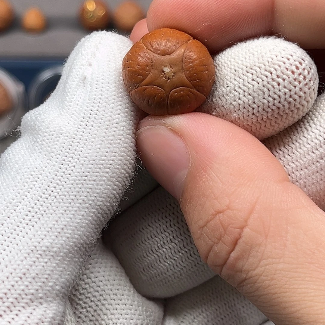 凤眼菩提吊坠17全品5星三通福利