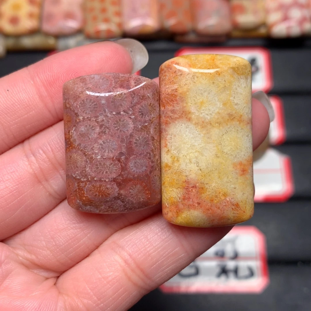 【闪购商品】未镶嵌颈饰硅化玉