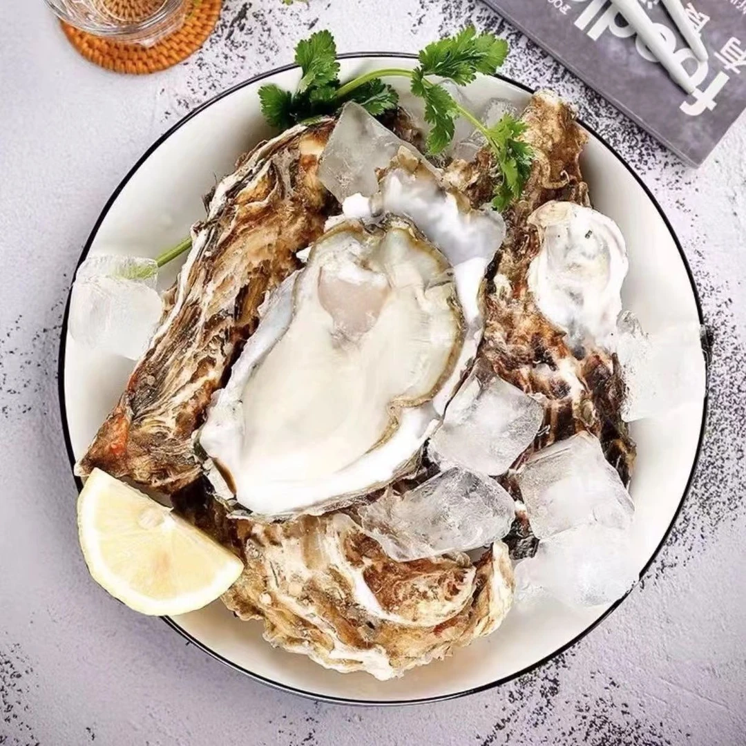 【长春同城】新鲜金标大生蚝3斤（5-6只左右）保鲜不保活（五两一只）