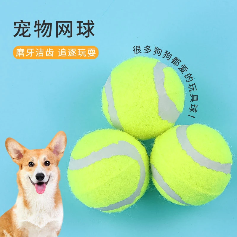 狗狗玩具球耐咬小狗狗幼犬户外球大型犬马犬磨牙弹力宠物狗训练球
