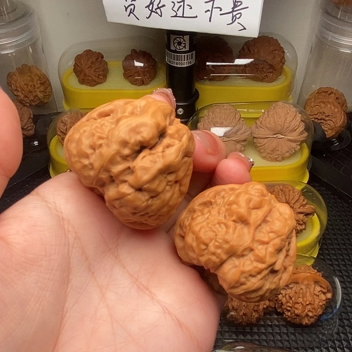 42四开背金蟾蛤蟆头