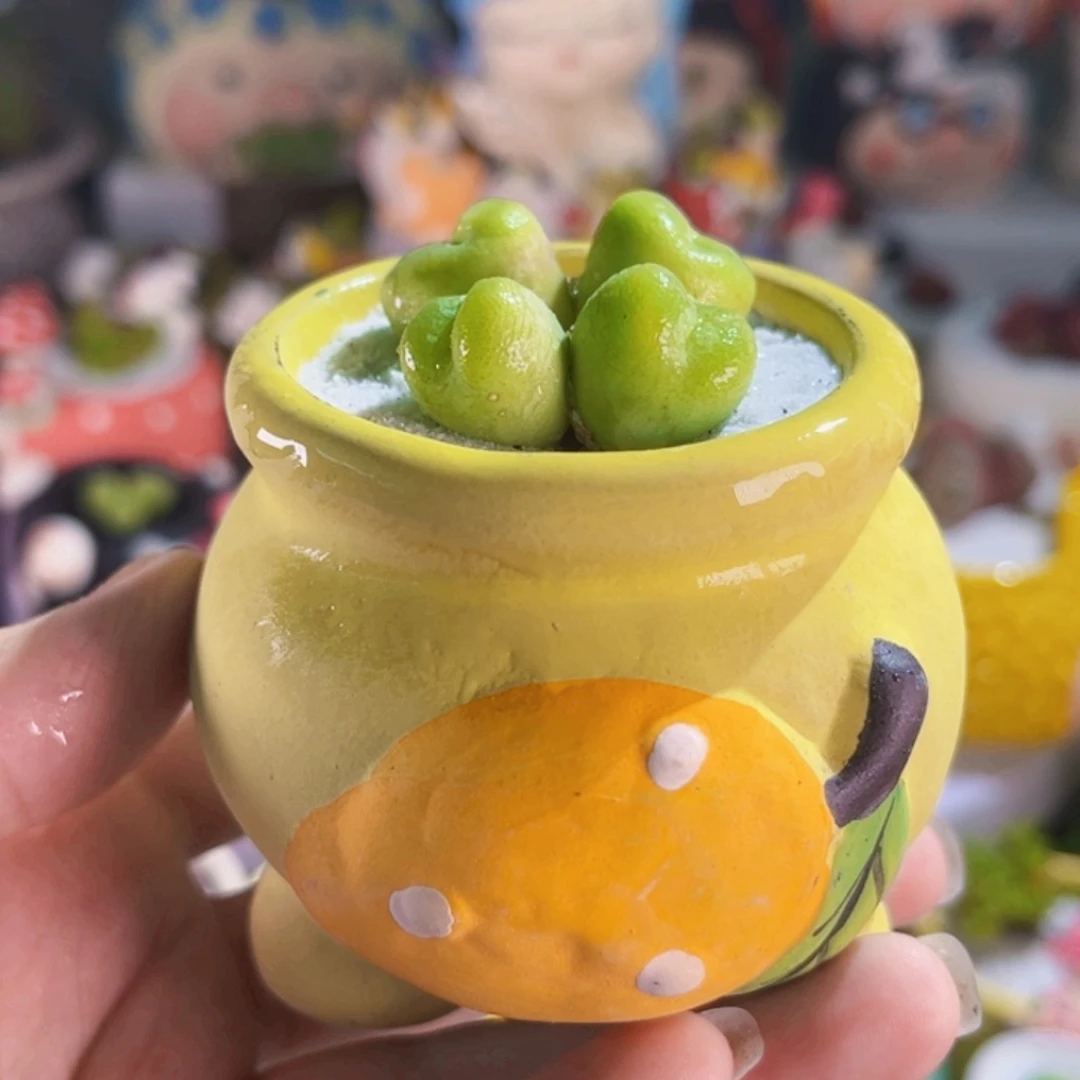 053翠光连盆带土包邮