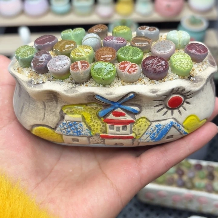 6028零下地区记得拍保温箱