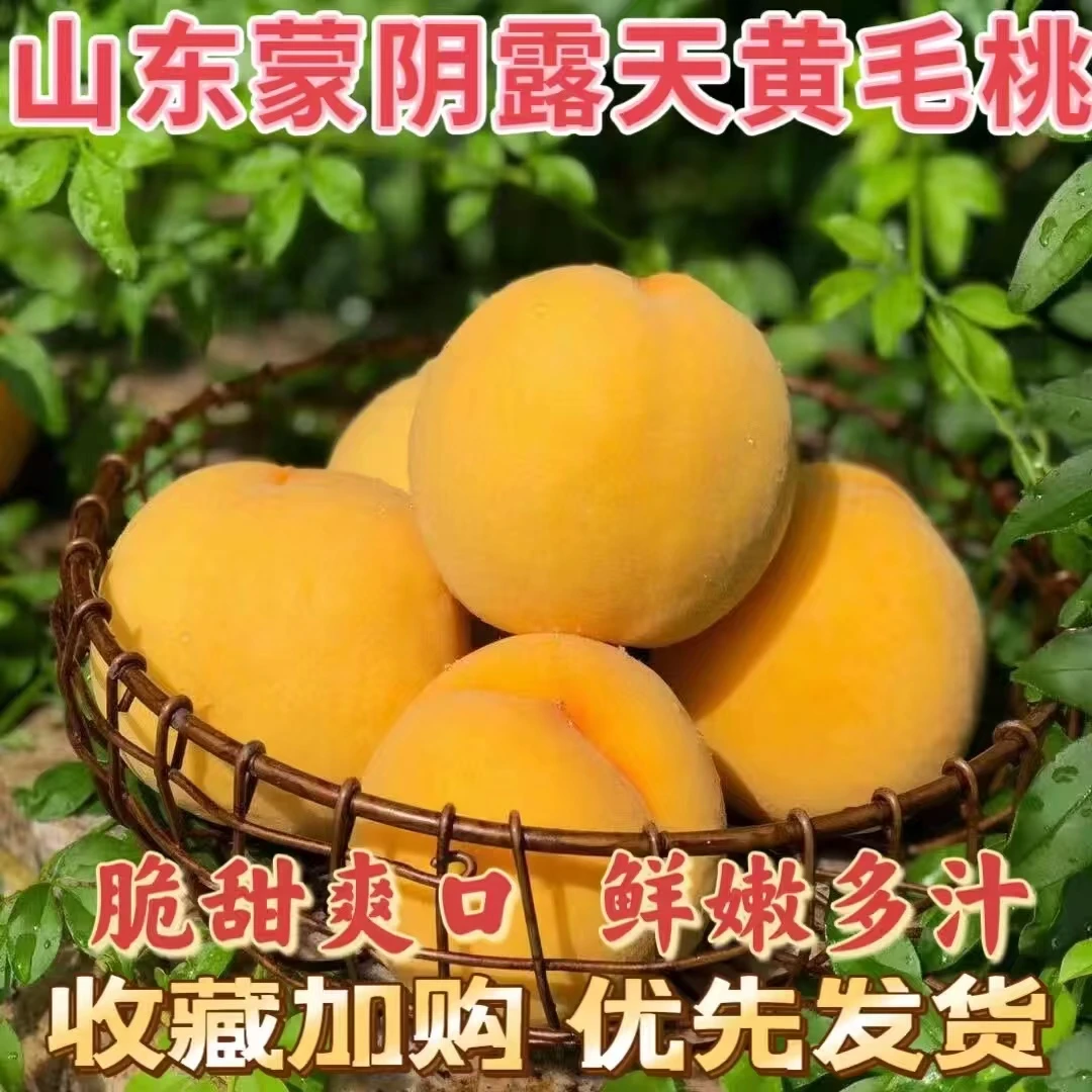 桃子黄金蜜黄毛桃山东纯甜黄金水蜜桃蜜桃蒙阴桃新鲜水果