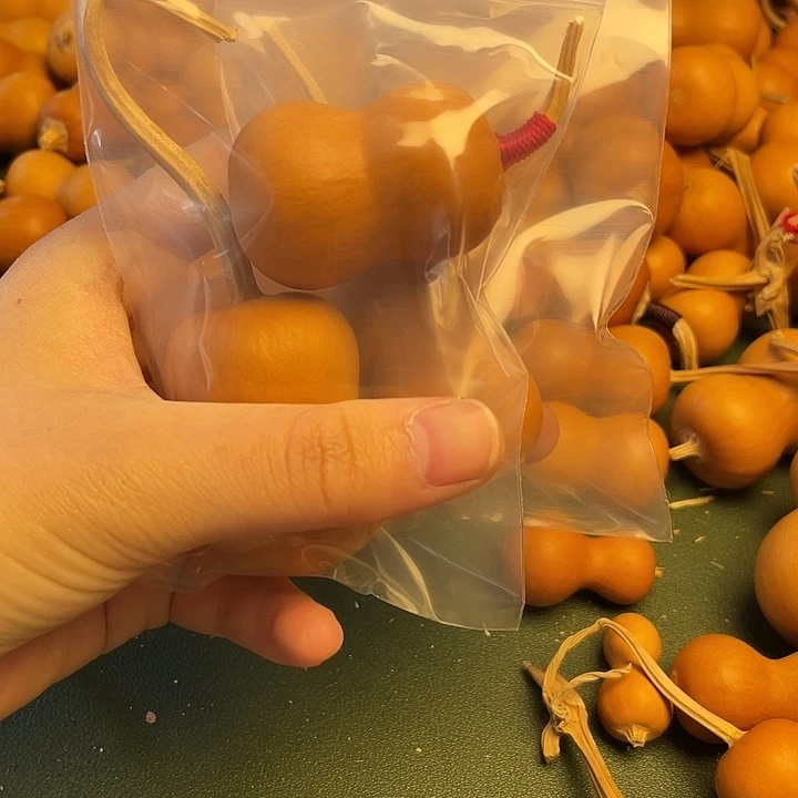 专拍专拍专拍专拍专拍