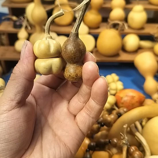 直播间专供链接葫芦